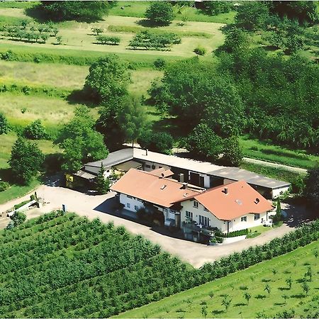 Апартаменты Weingut Ringwald Хербольцхайм Экстерьер фото