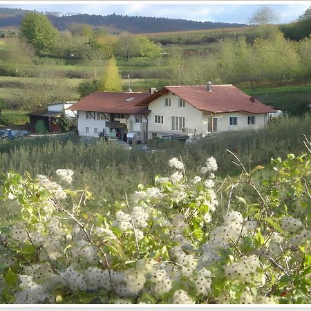 Апартаменты Weingut Ringwald Хербольцхайм Экстерьер фото
