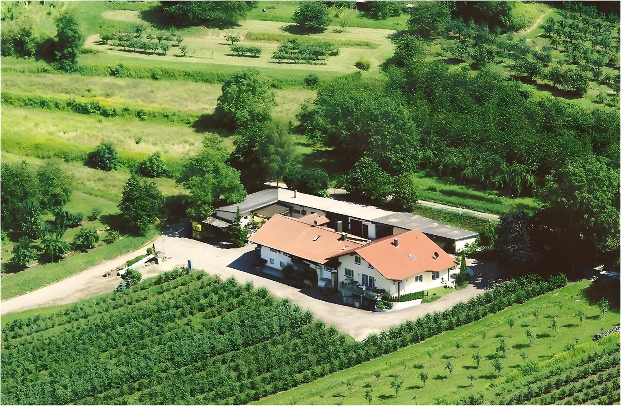 Апартаменты Weingut Ringwald Хербольцхайм Экстерьер фото